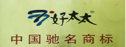 廣東好太太集團